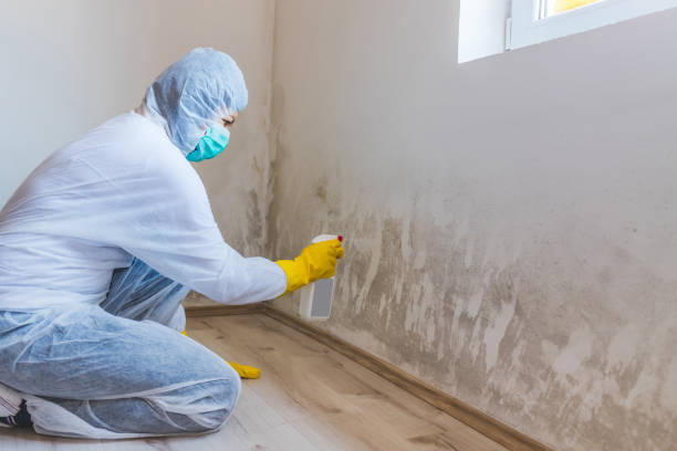Licensed Bathroom Mold Removal service in Sand Lake, MI - WQB Mold Removal