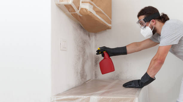 Professional Bathroom Mold Removal technician working in Sand Lake, MI