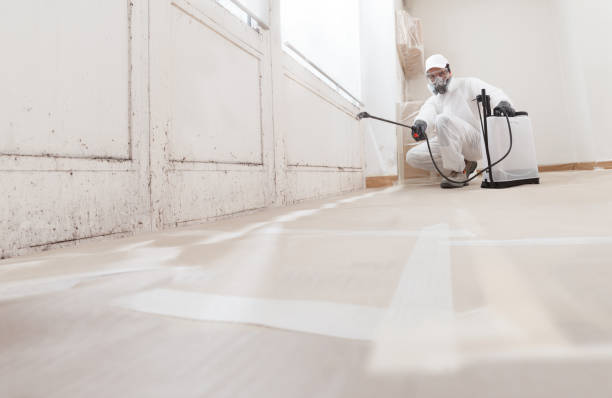 24/7 Emergency Bathroom Mold Removal experts in Sand Lake, MI