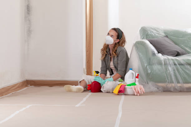Reliable Bathroom Mold Removal contractor in Sand Lake, MI by WQB Mold Removal